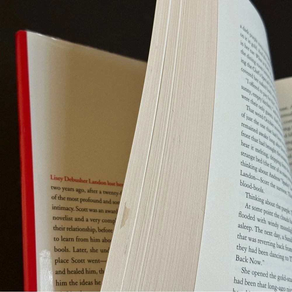 Lisey's Story: A Novel by Stephen King | Fiction | Hardcover Book - Picture 10 of 11